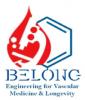 logo BELONG